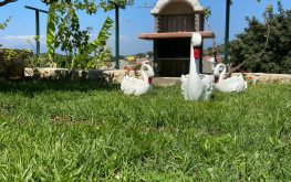 datça karaincir apart otelleri